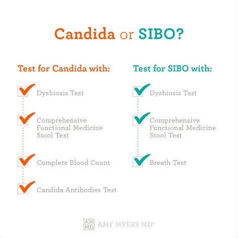 Jejunal aspiration—the removal and culture of a sample of intestinal fluid—is less commonly done, but is a more accurate <b>SIBO</b> <b>test</b>. . What causes false negative sibo test